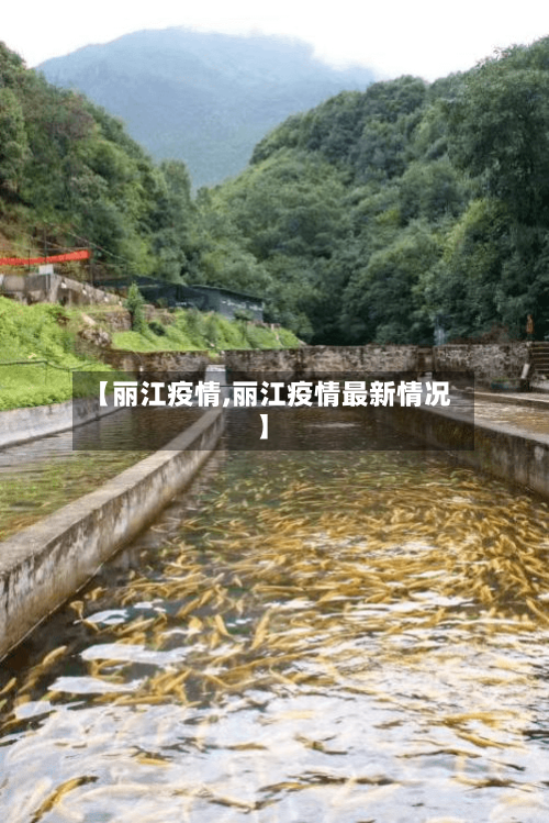 【丽江疫情,丽江疫情最新情况】-第2张图片