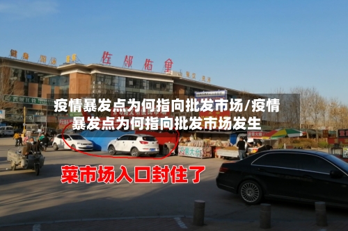 疫情暴发点为何指向批发市场/疫情暴发点为何指向批发市场发生-第3张图片