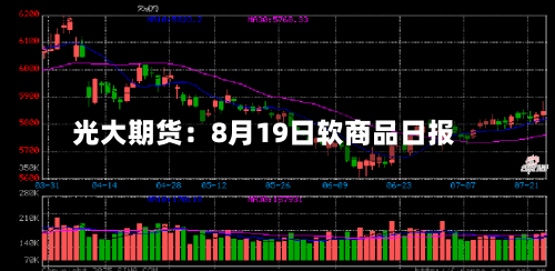 光大期货：8月19日软商品日报-第2张图片