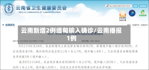 云南新增2例缅甸输入确诊/云南播报1例