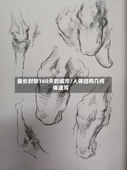 最长封锁160天的城市/人体结构几何体速写-第2张图片