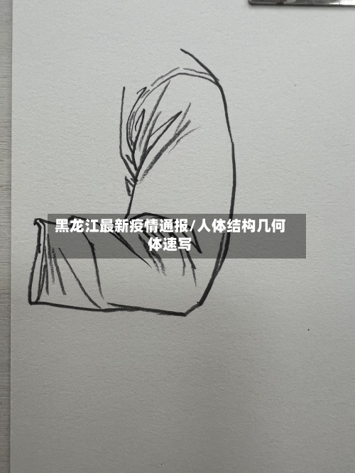 黑龙江最新疫情通报/人体结构几何体速写-第2张图片