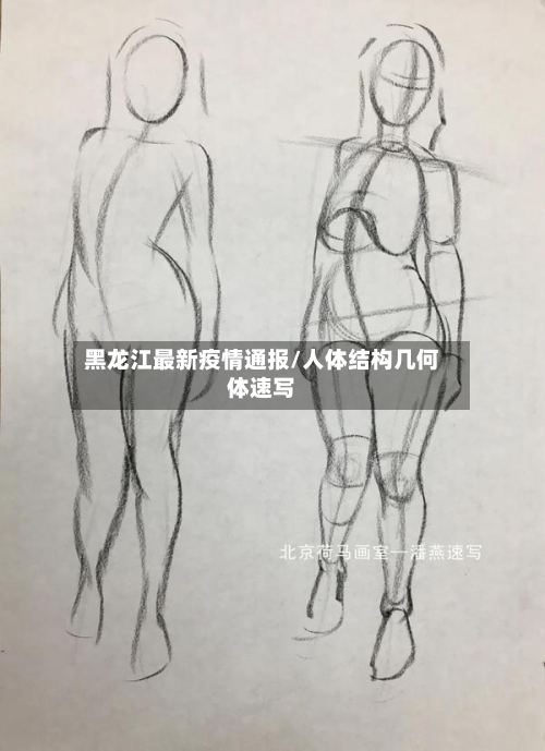 黑龙江最新疫情通报/人体结构几何体速写