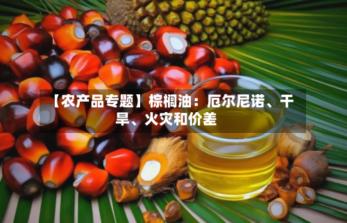 【农产品专题】棕榈油：厄尔尼诺、干旱	、火灾和价差-第3张图片
