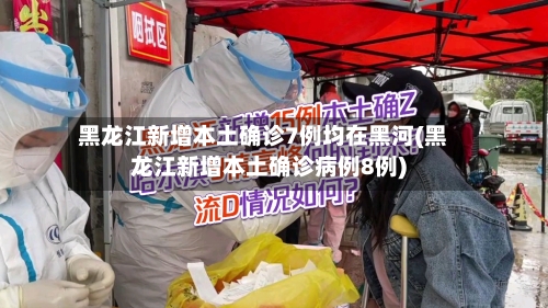 黑龙江新增本土确诊7例均在黑河(黑龙江新增本土确诊病例8例)-第2张图片