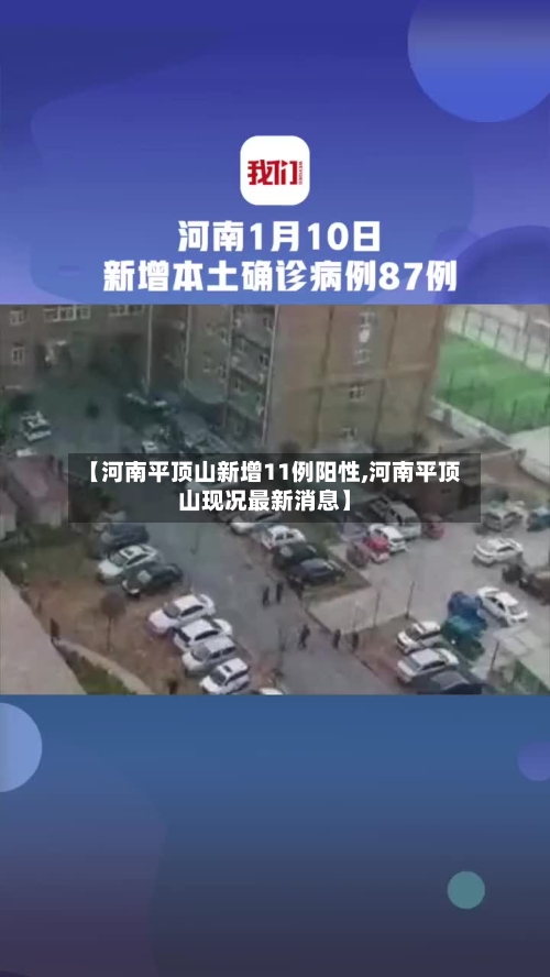 【河南平顶山新增11例阳性,河南平顶山现况最新消息】-第2张图片