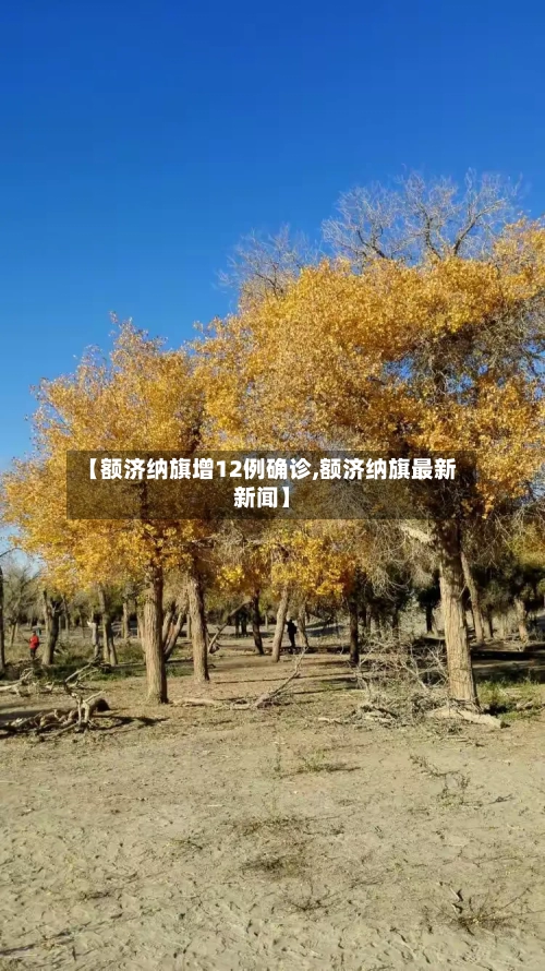 【额济纳旗增12例确诊,额济纳旗最新新闻】