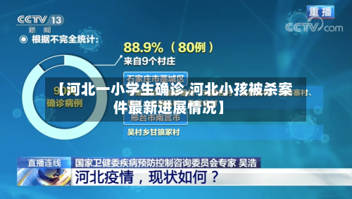 【河北一小学生确诊,河北小孩被杀案件最新进展情况】