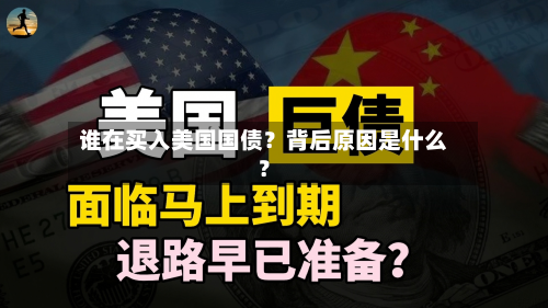 谁在买入美国国债?背后原因是什么?-第2张图片