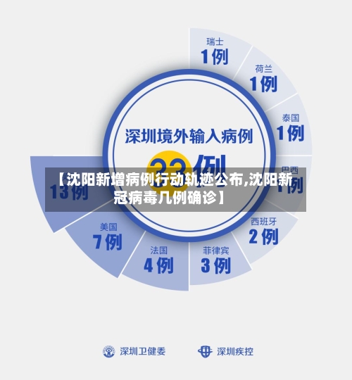 【沈阳新增病例行动轨迹公布,沈阳新冠病毒几例确诊】-第3张图片