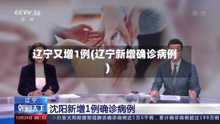 辽宁又增1例(辽宁新增确诊病例)-第2张图片