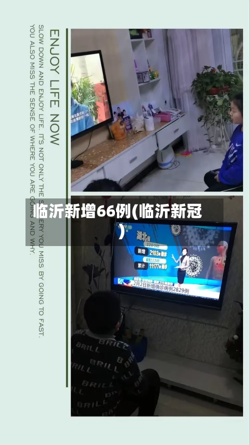 临沂新增66例(临沂新冠)