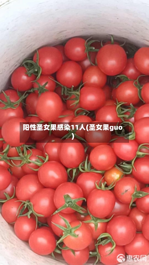 阳性圣女果感染11人(圣女果guo)-第2张图片