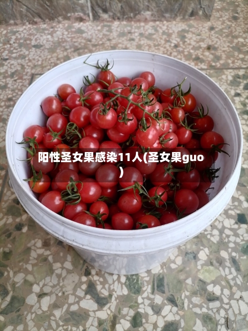 阳性圣女果感染11人(圣女果guo)