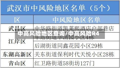 中高风险地区查询/中高风险R4-第2张图片