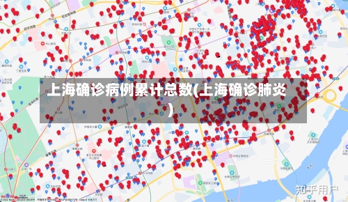 上海确诊病例累计总数(上海确诊肺炎)-第2张图片