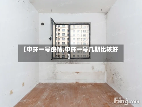 【中环一号疫情,中环一号几期比较好】-第3张图片