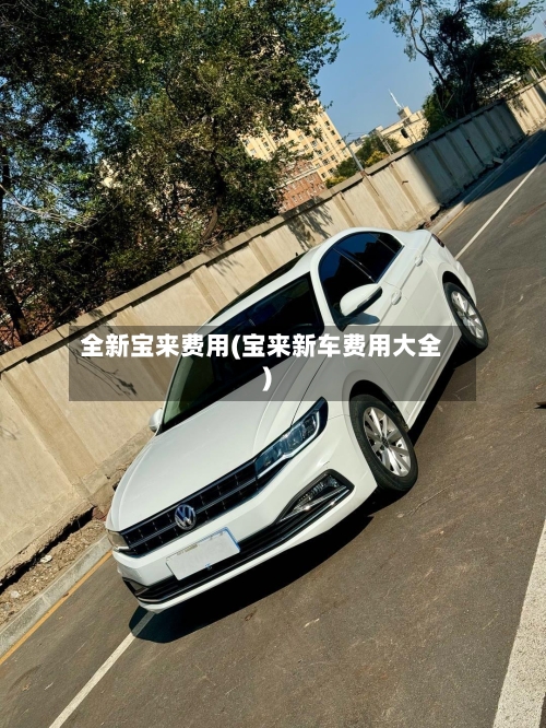 全新宝来费用(宝来新车费用大全)