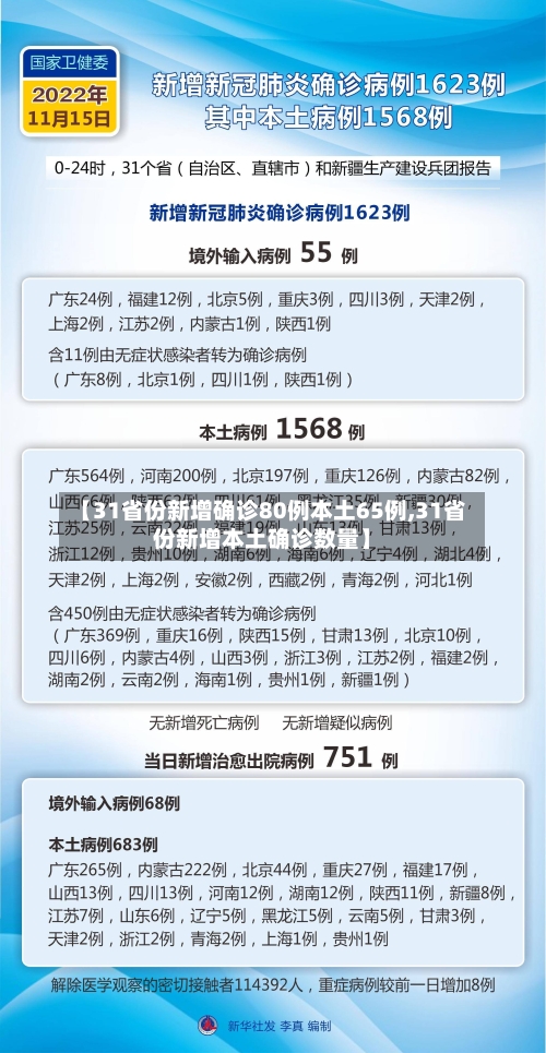 【31省份新增确诊80例本土65例,31省份新增本土确诊数量】