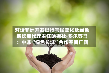 对话非洲开发银行气候变化及绿色增长部代理主任哈姆杜·多尔苏马：中非“绿色长城”合作空间广阔-第3张图片