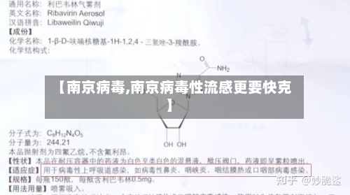 【南京病毒,南京病毒性流感更要快克】-第2张图片