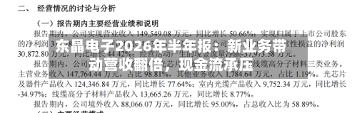 东晶电子2026年半年报：新业务带动营收翻倍，现金流承压