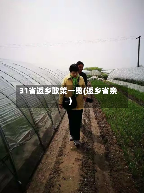 31省返乡政策一览(返乡省亲)-第3张图片