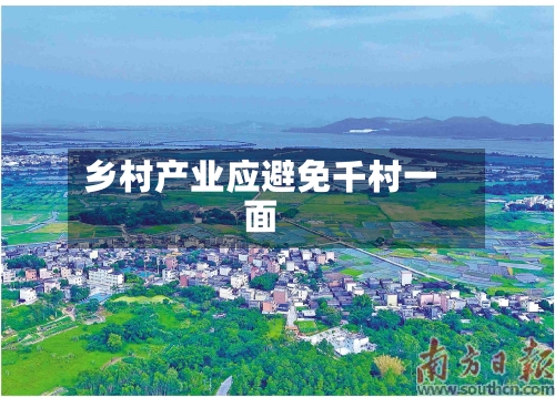 乡村产业应避免千村一面-第2张图片