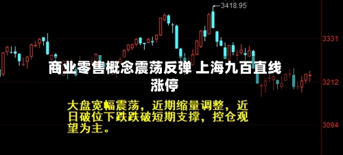 商业零售概念震荡反弹 上海九百直线涨停