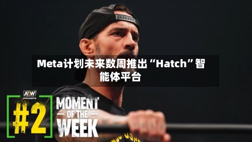 Meta计划未来数周推出“Hatch	”智能体平台-第2张图片