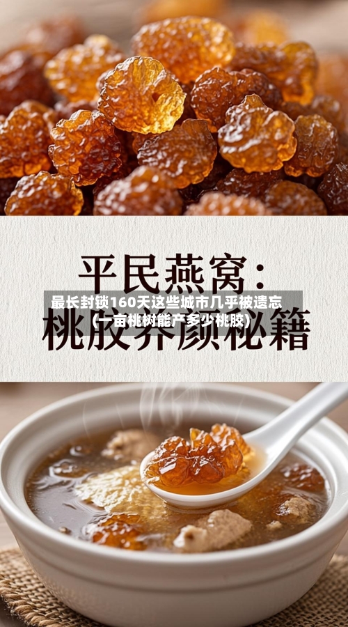最长封锁160天这些城市几乎被遗忘(一亩桃树能产多少桃胶)