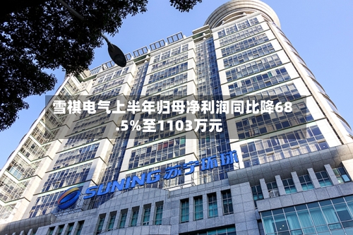 雪祺电气上半年归母净利润同比降68.5%至1103万元