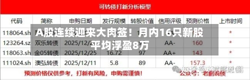A股连续迎来大肉签！月内16只新股平均浮盈8万