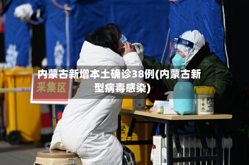 内蒙古新增本土确诊38例(内蒙古新型病毒感染)