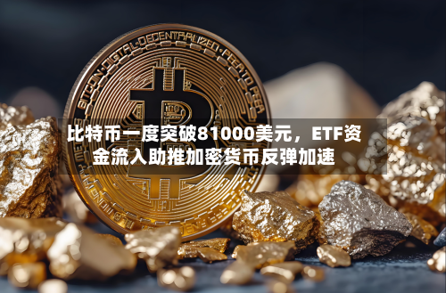 比特币一度突破81000美元	，ETF资金流入助推加密货币反弹加速-第2张图片