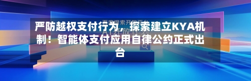 严防越权支付行为，探索建立KYA机制！智能体支付应用自律公约正式出台-第2张图片