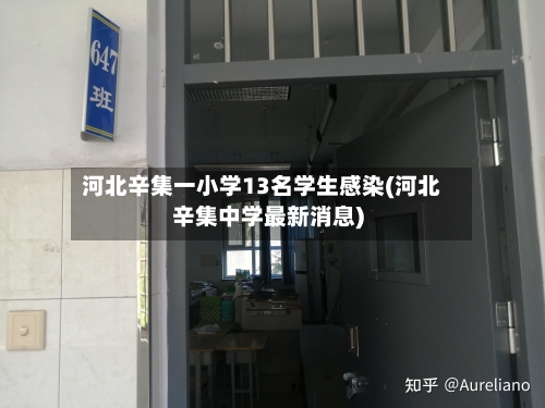 河北辛集一小学13名学生感染(河北辛集中学最新消息)