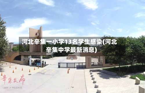 河北辛集一小学13名学生感染(河北辛集中学最新消息)-第2张图片