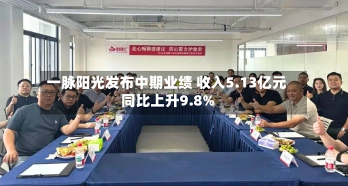 一脉阳光发布中期业绩 收入5.13亿元同比上升9.8%-第2张图片