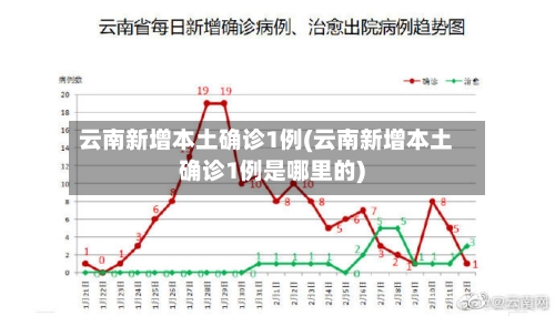云南新增本土确诊1例(云南新增本土确诊1例是哪里的)