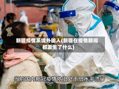 新疆疫情系境外输入(新疆在疫情期间都发生了什么)-第3张图片