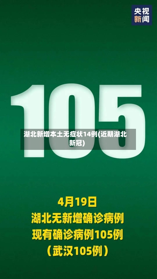 湖北新增本土无症状14例(近期湖北新冠)-第2张图片