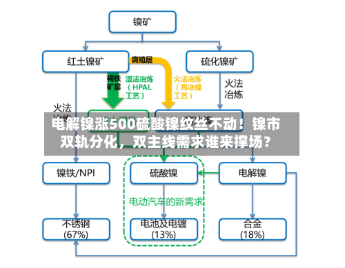 电解镍涨500硫酸镍纹丝不动！镍市双轨分化，双主线需求谁来撑场？-第2张图片