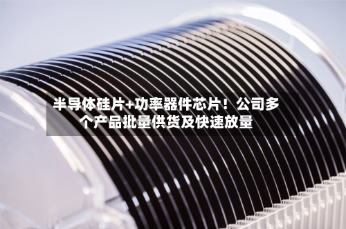 半导体硅片+功率器件芯片！公司多个产品批量供货及快速放量