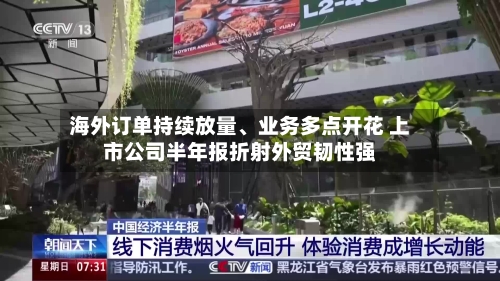 海外订单持续放量、业务多点开花 上市公司半年报折射外贸韧性强