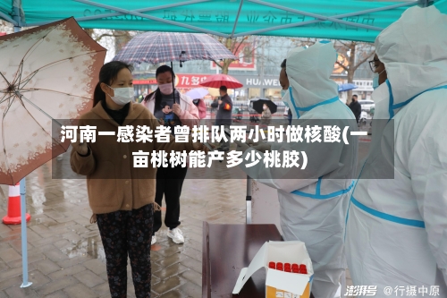 河南一感染者曾排队两小时做核酸(一亩桃树能产多少桃胶)-第2张图片