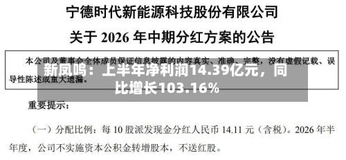 新凤鸣：上半年净利润14.39亿元，同比增长103.16%