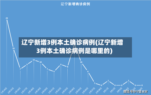 辽宁新增3例本土确诊病例(辽宁新增3例本土确诊病例是哪里的)-第3张图片