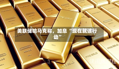 美联储哈马克称，加息 “现在就该行动	”-第2张图片