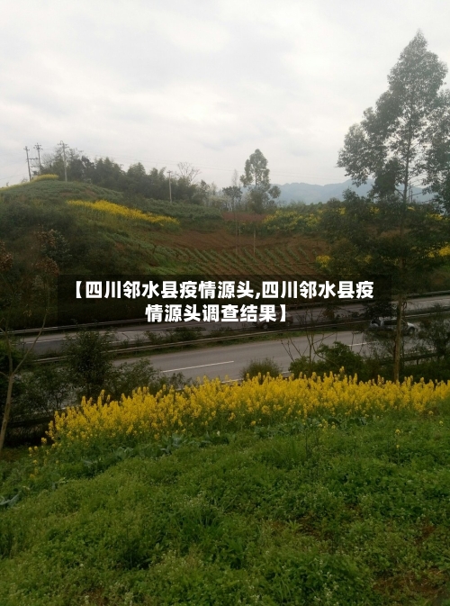 【四川邻水县疫情源头,四川邻水县疫情源头调查结果】-第3张图片